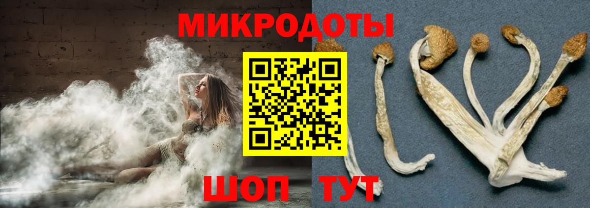 наркотики  Вход с VPN  Кириши  Галлюциногенные грибы GOLDEN TEACHER 